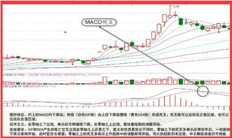 什么是股票？怎么炒股？谁能给我讲的通俗易懂点儿？我想了解