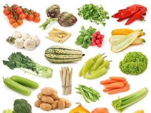 绿色蔬菜有哪些,什么绿色蔬菜最嫩？
