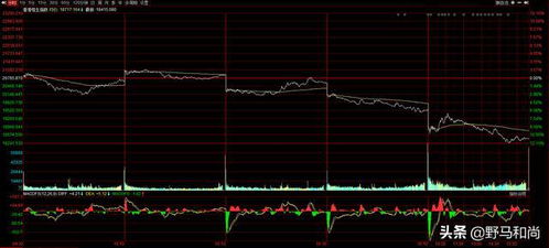 国际商业数字技术(01782)港股涨幅超过24%，创下历史新高