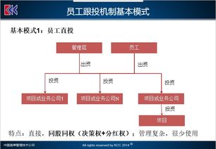 股东分配的问题，占股多少以上的股东具有参与决策权?