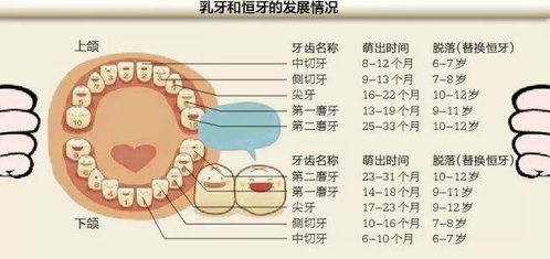 不要牙齿烂了你就着急拔掉,看清楚这些你就知道为什么了 