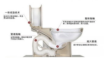 虹吸式马桶结构图 从细节构造剖析整体 图片欣赏中心 急不急图文 Jpjww Com