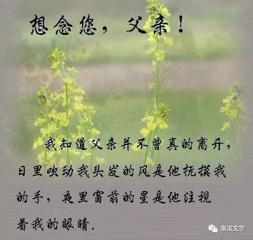 怀念父亲的文章(想念父亲一秒泪崩的句子戳心文案)