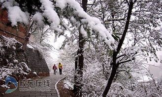 港城仿佛蜡染一般 白雪成就一城美景