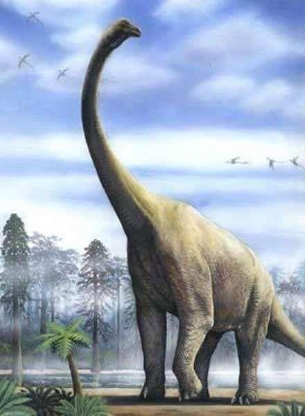 比易碎双腔龙和阿根廷龙还大的恐龙,发现于我国河南,脖子长17米 