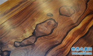 世界上最贵的木材排名第一名,黑子木价值