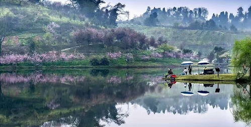 云林天乡景区门票,云林天乡景区门票预订,云林天乡景区门票价格,去哪儿网门票 