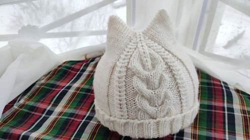 猫咪帽的编织方法第3集,居家隔离干什么来学编织吧