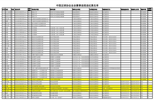 县级业余足球队名单公示,县足球协会业务范围