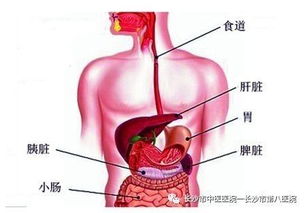 爷爷抱着坐副驾驶,7岁女孩脾破裂 