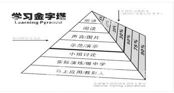 金字塔知识讲解