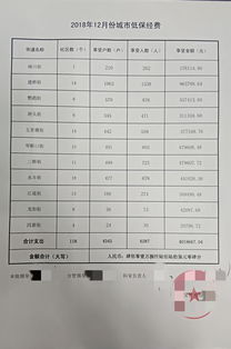 2018年最低生活保障资金发放情况10 12月