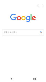 ipad什么浏览器好