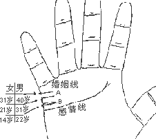 看手相算命图解 手相看婚姻