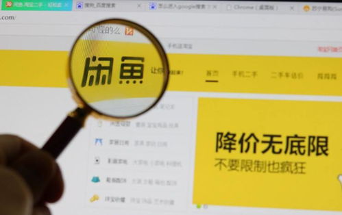 查重网店运营实战：从0到月销千单的秘诀揭秘