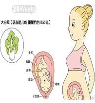 原创孕妇怀孕28周，一袋冰牛奶导致胎停，这种致病菌要注意