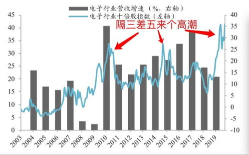 哪类股票今年内有可能会翻倍?