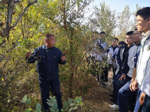 衡水一中学生走进田间地头,上劳动课