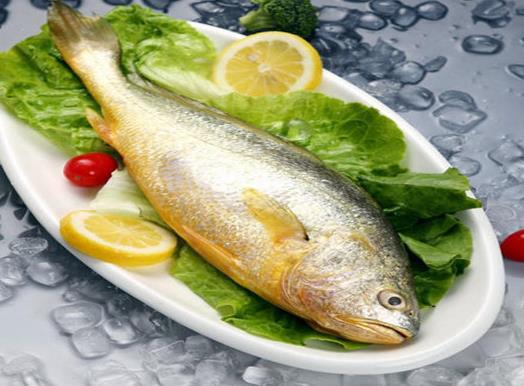 最适合孩子吃的八种鱼排名,龙利鱼口感肥美鲜嫩银鱼对肠胃很友好