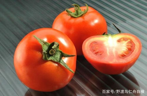 西红柿出现烂根怎么预防 