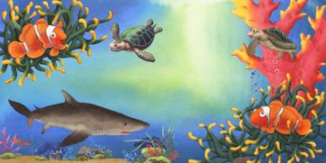 摩羯座的小海 摩羯座的小海龟是什么