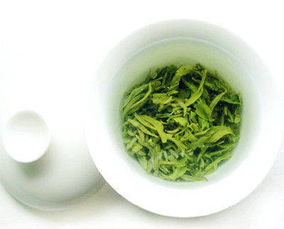 怀孕可以喝绿茶吗,孕妇可以喝绿茶吗？