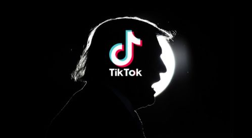 tiktok华为下载教程_TikTok Shop小店入驻