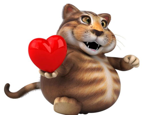 1 9岁的家猫中有21 的猫心脏有杂音 猫咪得了心脏病吗 怎么治