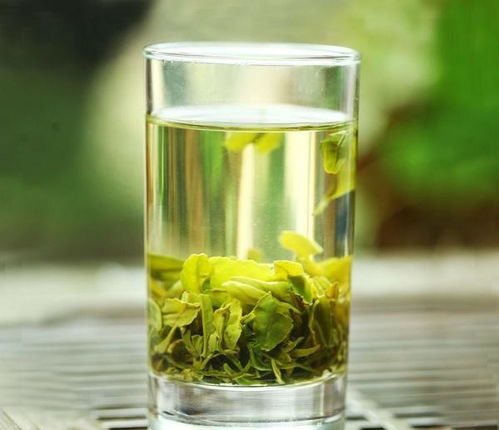 爱喝绿茶的你,知道好的 坏的绿茶,味道有啥不同吗