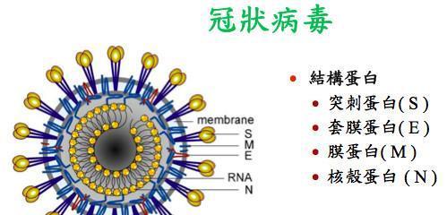 吸入56 以上的气体,比如蒸桑拿半小时,能杀死新冠病毒吗