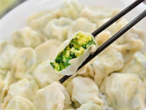 10个韭菜饺子热量(20个韭菜饺子的热量)