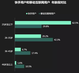 快手短视频电商付费群体