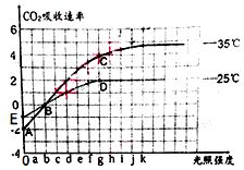 学校生物小组的同学.为探究影响豌豆种子萌发的环境因素.特设置了四组实验.实验的方法是 取40粒豌豆的种子.均分到四组垫有棉花的培养皿中.环境条件和种子萌发情况记录如表 