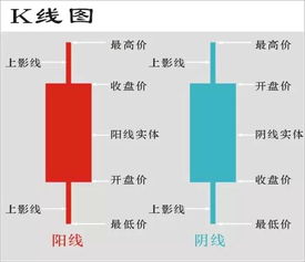 下影线长于上影线并且长于绿实体，表明了什么？