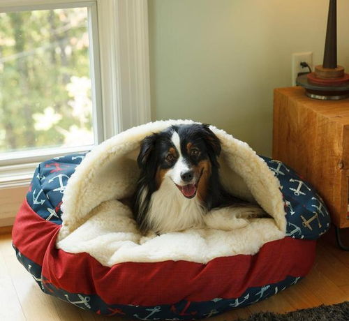 让狗狗睡得舒适,你需要给它买一张完美的狗窝,好看不是挑选重点