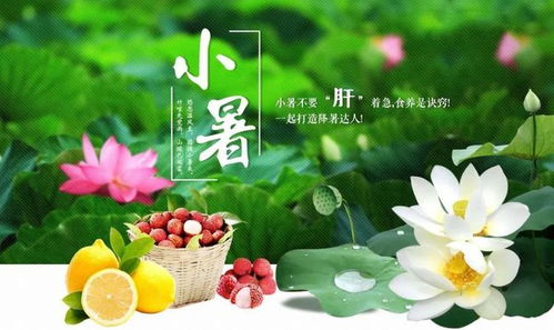 小暑节气祝福语