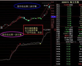 股票跟着主力走不正好中计了吗？为什么有人说跟着主力能赚钱呢？