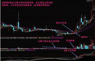 吴君亮股票估值系统怎么用来选股啊