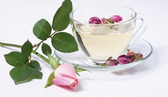栀子花茶的功效与作用 杞菊栀子罗汉果茶有什么功效作用？ 
