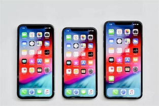 苹果iPhone XS XS Max XR 到底哪一款值得买呢