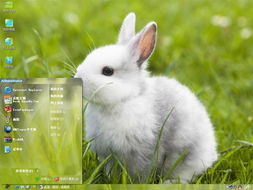 小白兔,电脑桌面主题 win7主题 