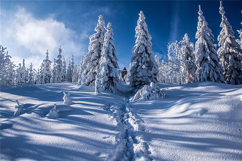 航拍孤独的雪中小屋 感受银白里的温情