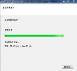 win10安装c2008sp1错误