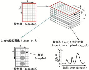 红外偏振成像技术的发展