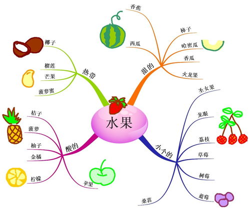 思维导图与亲子游戏训练 