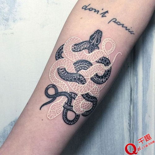 酷 喜欢纹身吗 看看这几条黑白相间的蛇吧