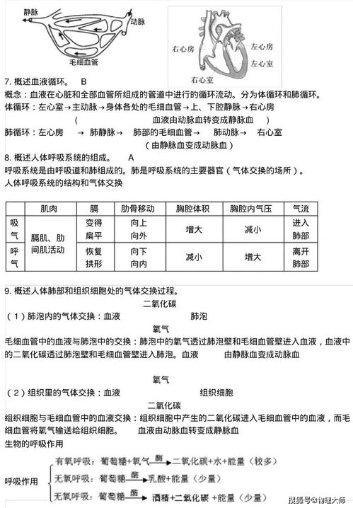 初中生物 必考知识点,超实用