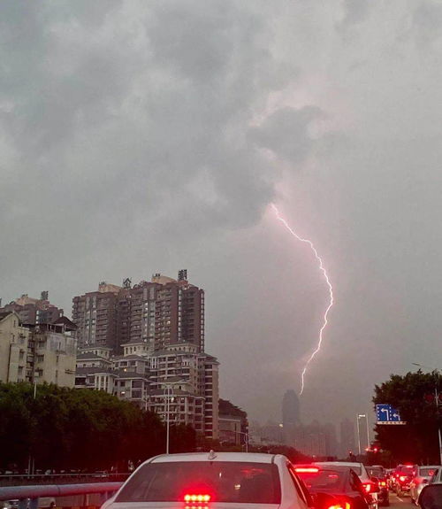 关于雷电冷知识(关于雷电的百科视频)