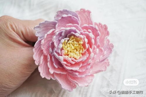 双层帽子怎么弄好看？双层芙蓉花帽子钩织全教程(双层帽子织法)