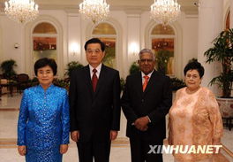 胡锦涛会见新加坡总统 将向新提供一对大熊猫 